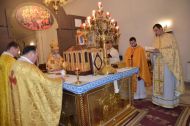 DSC 3352